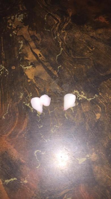 15894451_961065595268_6857646976642691777_n